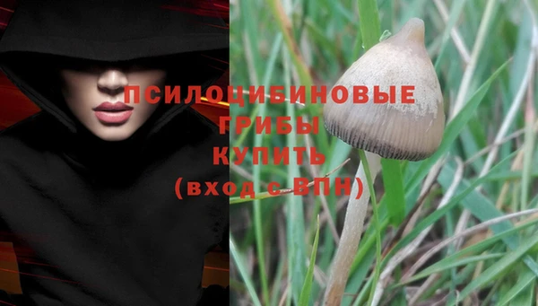 гашиш Гусиноозёрск