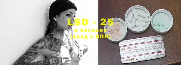 сатива Гусев