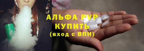 сатива Гусев