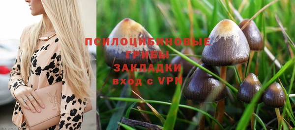 сатива Гусев