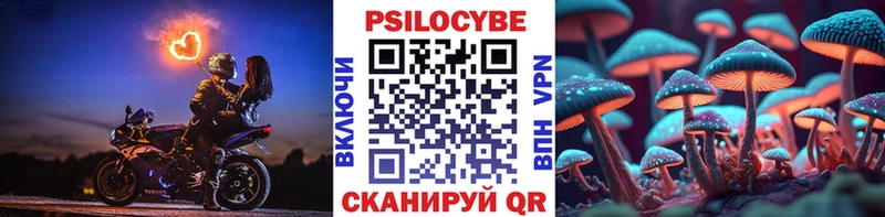 Псилоцибиновые грибы MAGIC MUSHROOMS  купить наркотик  ссылка на мегу вход  Новосокольники 