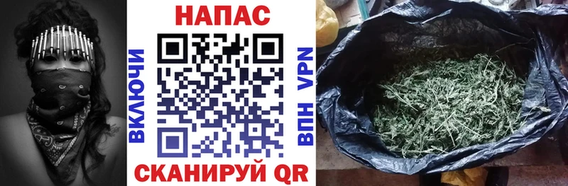 продажа наркотиков  Новосокольники  Каннабис план 